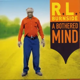 A Bothered Mind - Vinyl LP