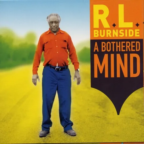 A Bothered Mind - Vinyl LP