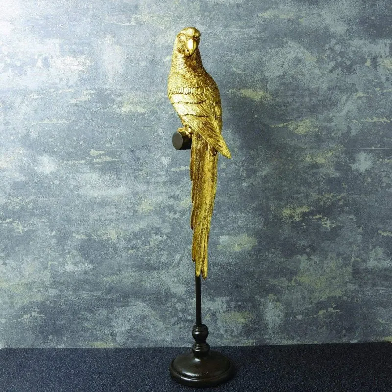 Parrot on Perch